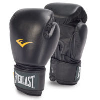 Everlast MMA Pro Leather Muay Thai Gloves 12oz