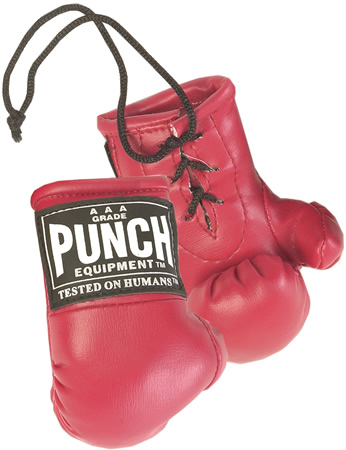 Punch Mini Glove Pair - Giri Martial Arts Supplies